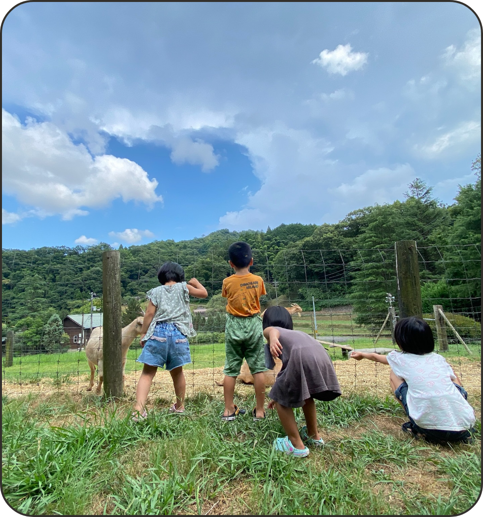 雲南市のレジャー